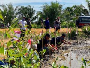 Pokok kita kehidupan kita