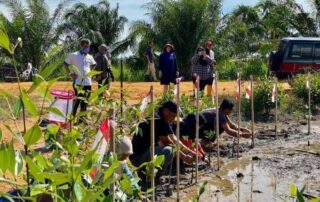 Pokok kita kehidupan kita